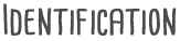 Identification-in-page-graphic