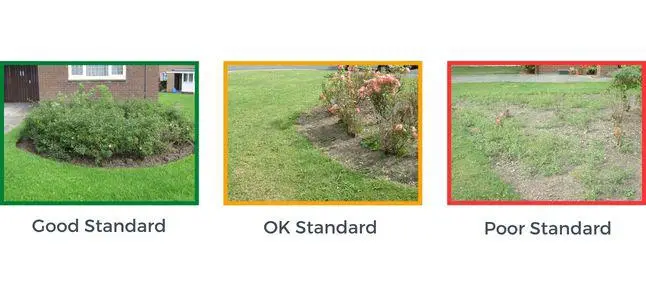 Red - shrub bed filled with weeds. Amber - most weeds removed. Green - clear and tidy shrub bed
