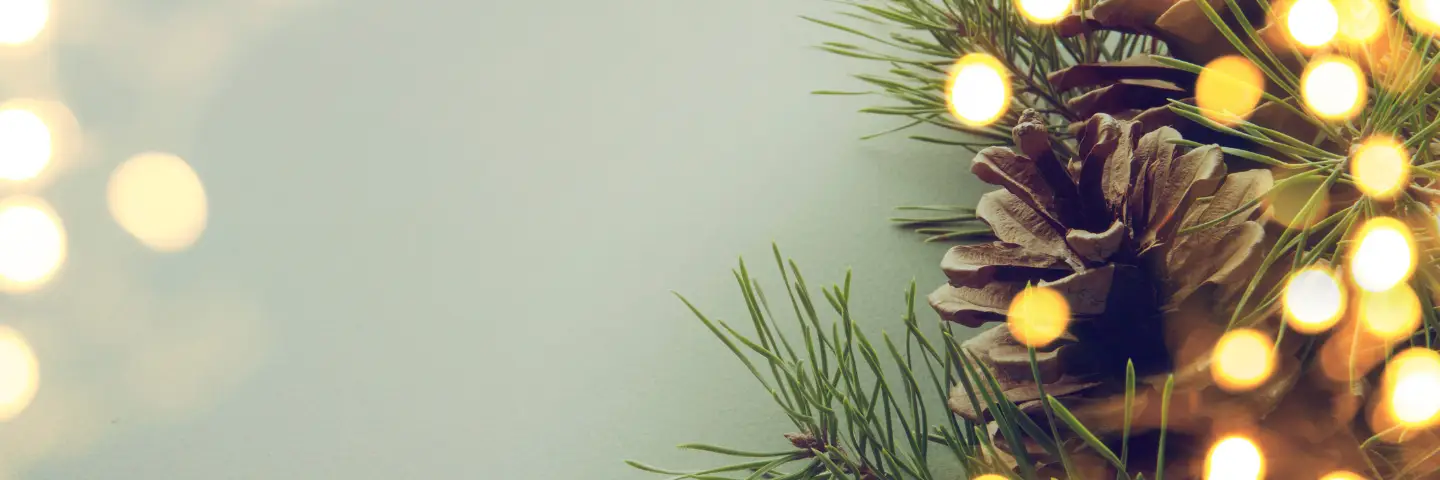 Picture of lights and a pinecone 