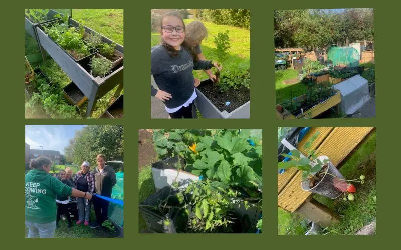 Pictures of the garden and the volunteers cutting the blue ribbon to officially open
