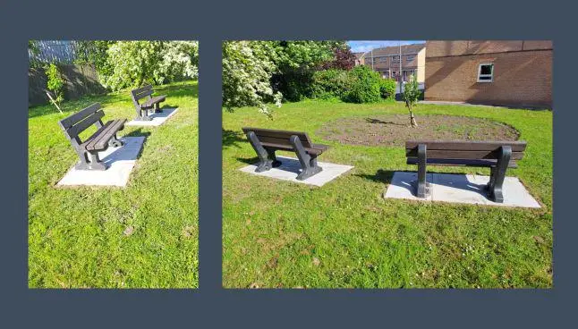 Recently installed benches and a wildflower garden at Tarnside